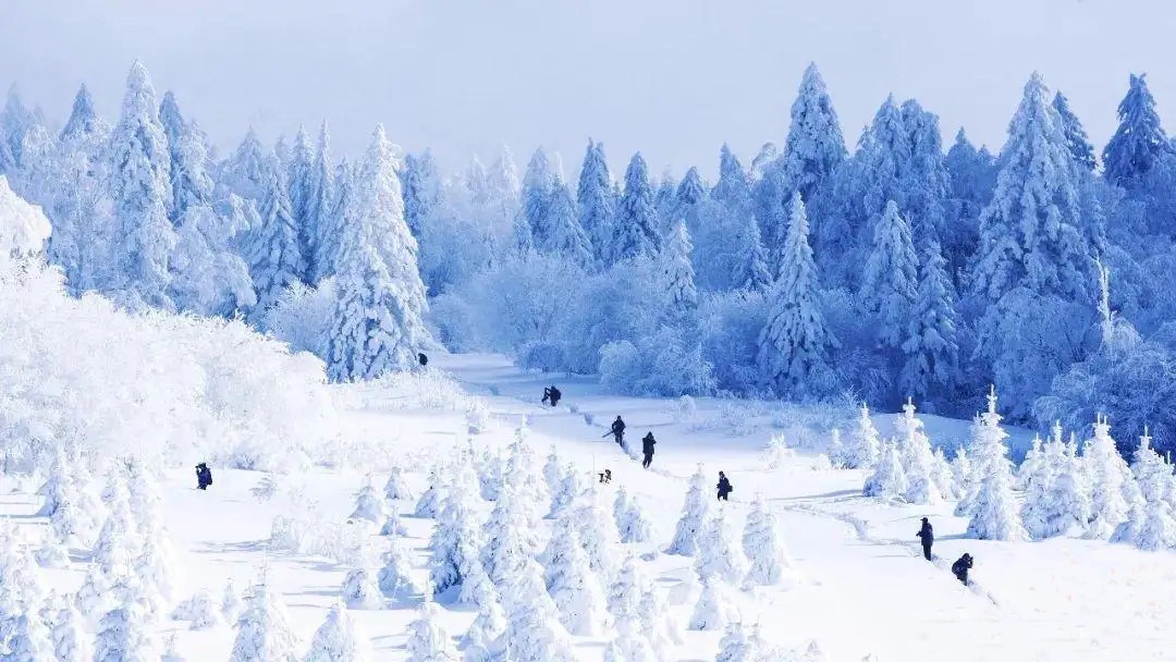 1699716115307025.jpg src=http___www.chinanews.com_cr_2019_0929_3802727639.jpg&refer=http___www.chinanews.webp.jpg