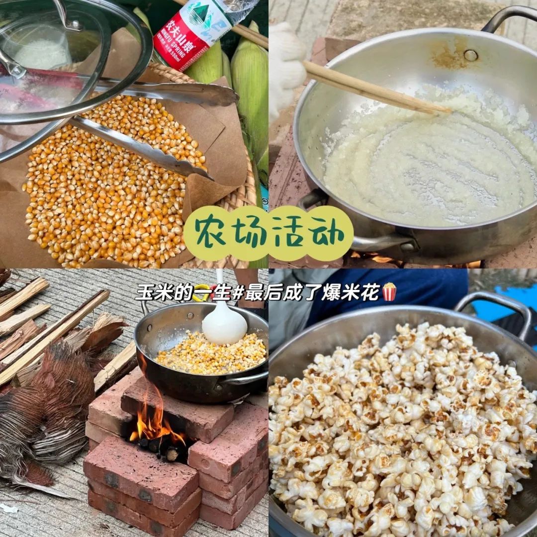 1700027576114526.jpg 微信图片_20231115135241.jpg