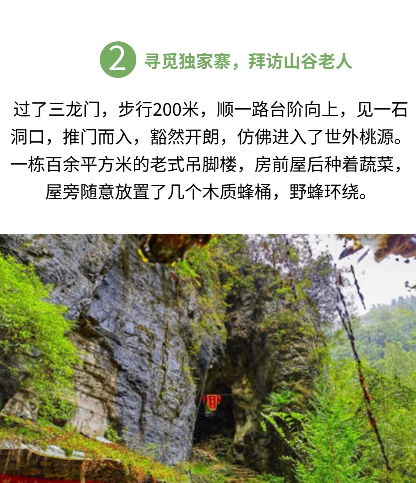 5的副本.jpg