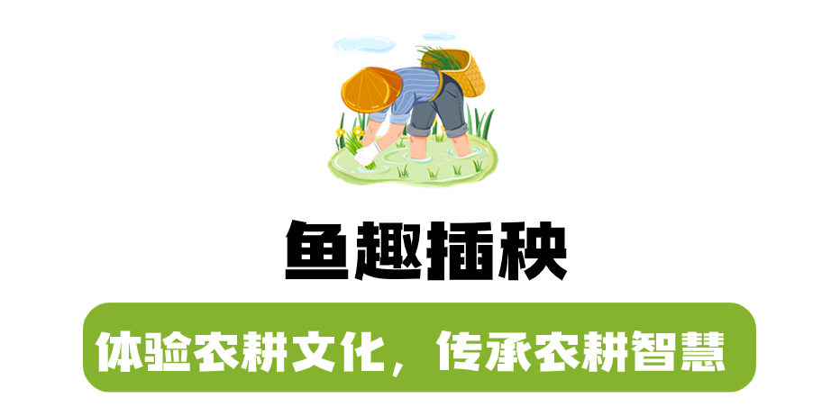 1712544113349653.png 插秧副标.png