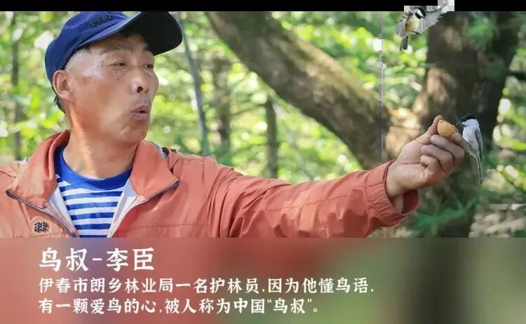 1730087447800997.jpg 鸟叔_看图王.jpg