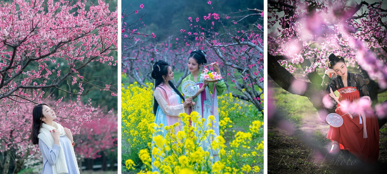 1740576763744913.jpg 桃花拼.jpg
