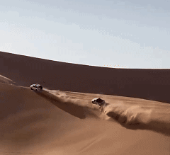 2342342.gif