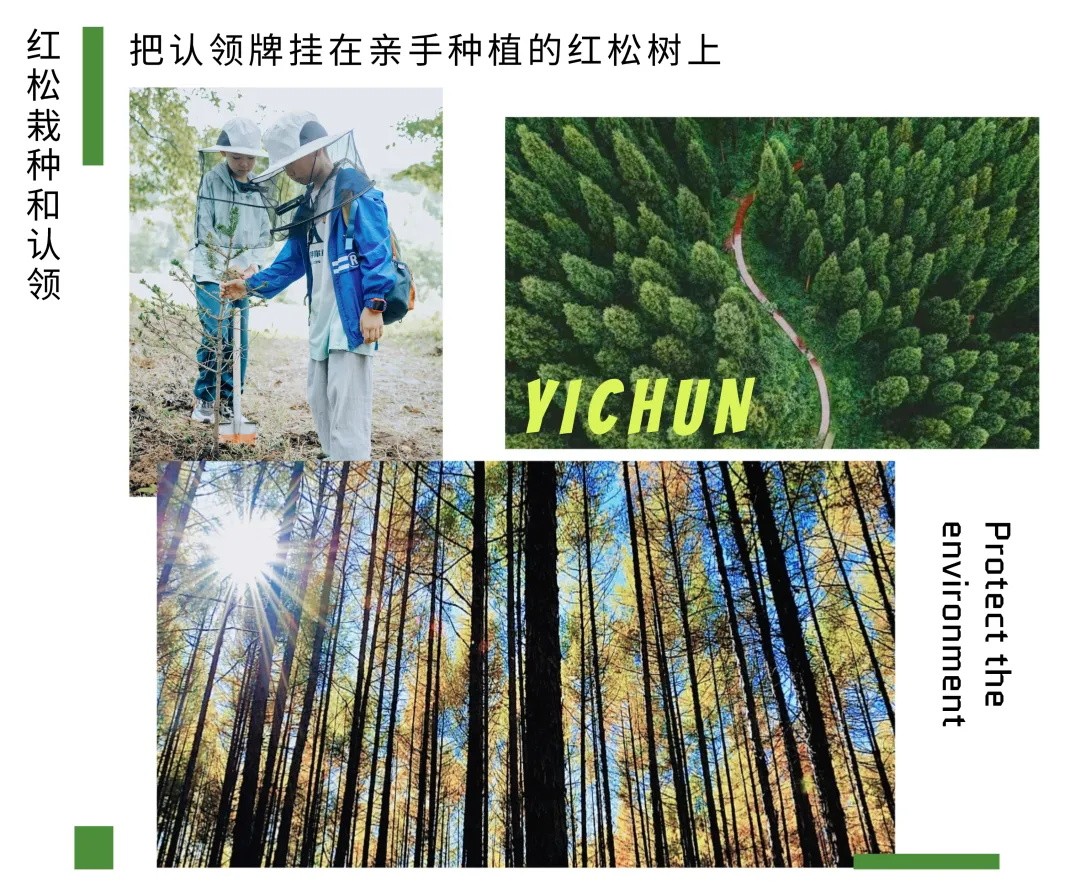 1748242656193756.jpg 红松认领_看图王.jpg