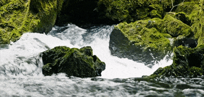 640 (2).gif