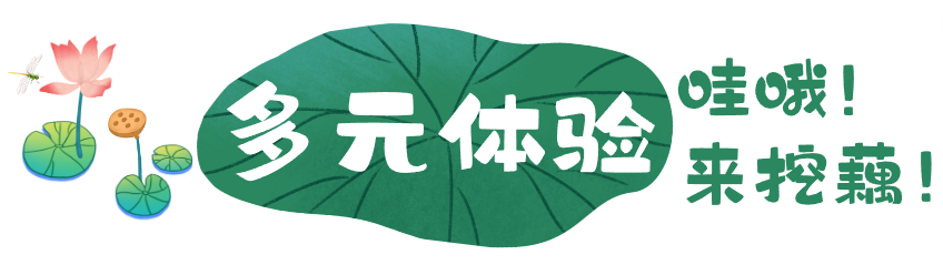 多元体验.png