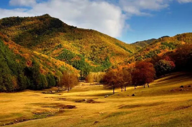 1755845217303340.jpg 金山鹿苑11_看图王.jpg