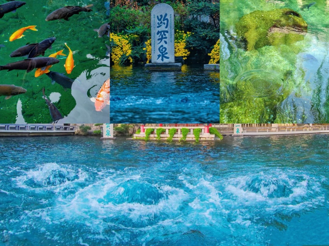 1761708579508317.jpg 59389911066af8ca4694e20c8316235.jpg