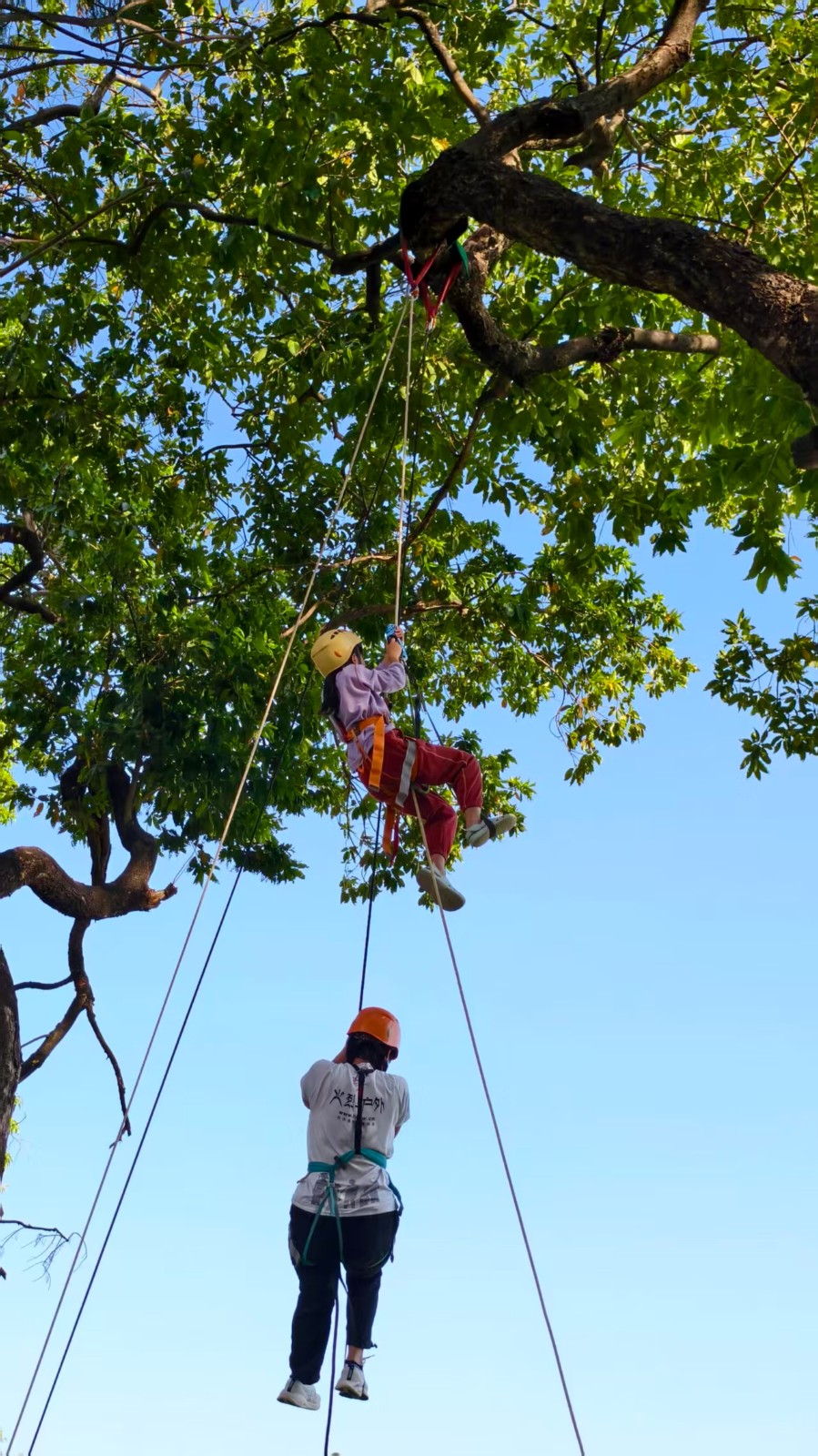 1761721966517649.jpg 微信图片_20251029151219_34_223.jpg