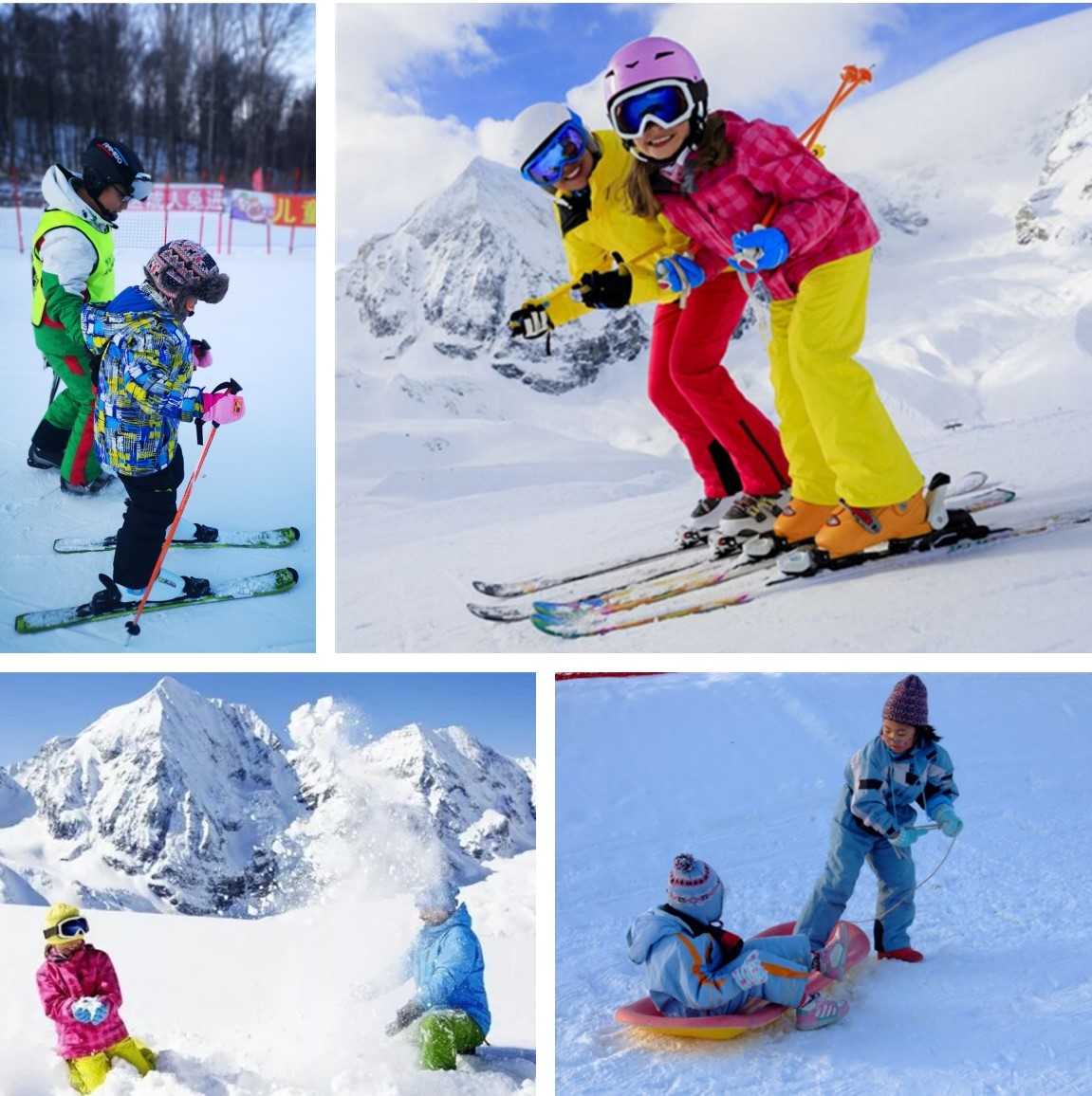 1761918773209703.jpg 1700556060843676.jpg