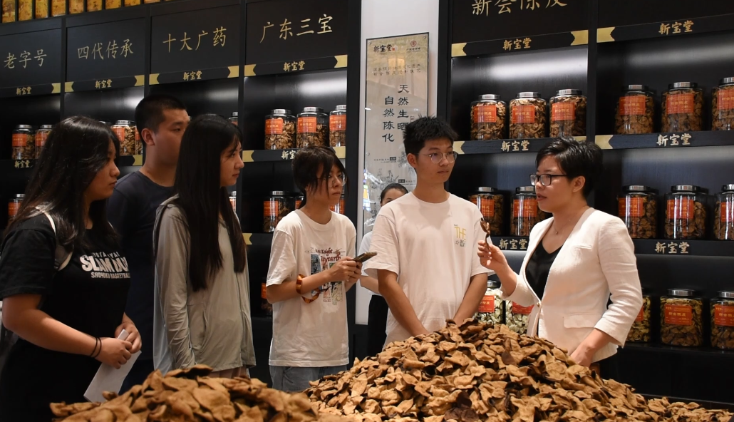 深入一线,青年大学生助力新会陈皮产业发展_南方网