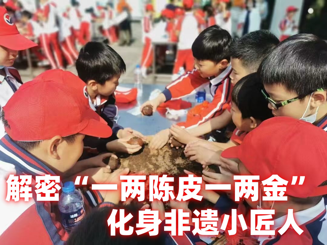 1770019866777058.jpg 微信图片_20260130171900_5_4_副本.jpg