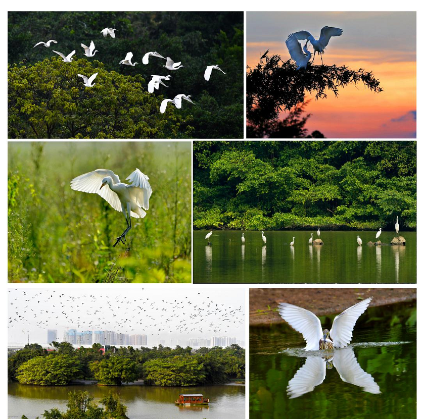 1770022097854499.png cb3d8ab0bf9df7667f199de1b4b3a8c2.png