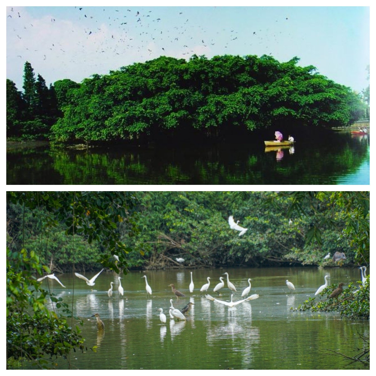 1770025860326215.jpg 未命名.jpg