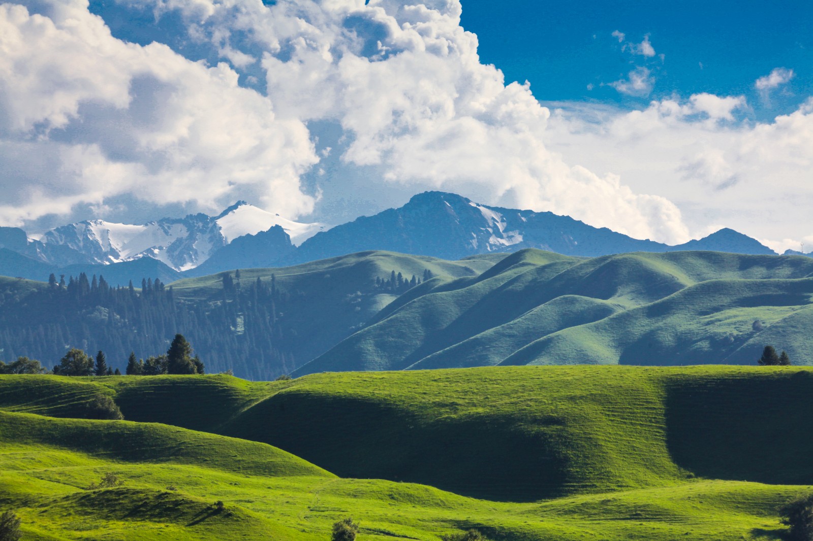 李学梅-六安 (7).jpg