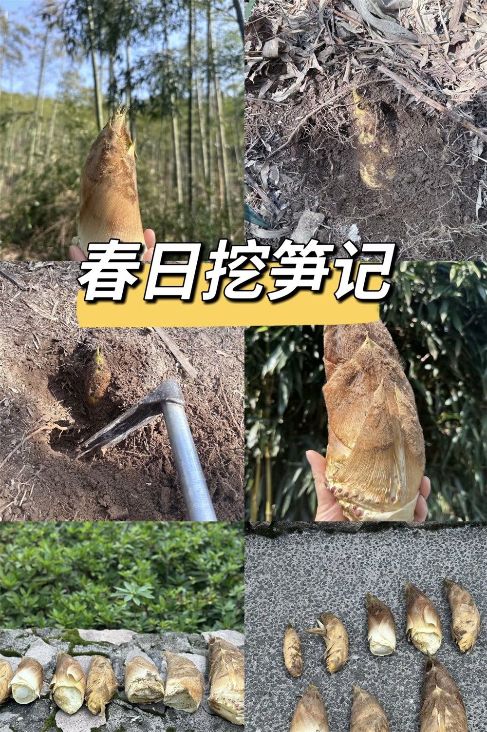 1773630266608105.jpg 0907c5a80e1922d75e2b8c6e03d54405.jpg