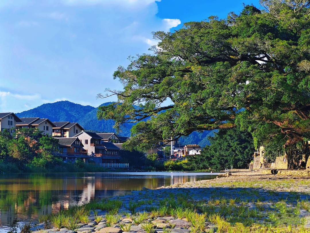 1774064118549815.jpg d118f7c49d399bf5da07b78cbe25856.jpg