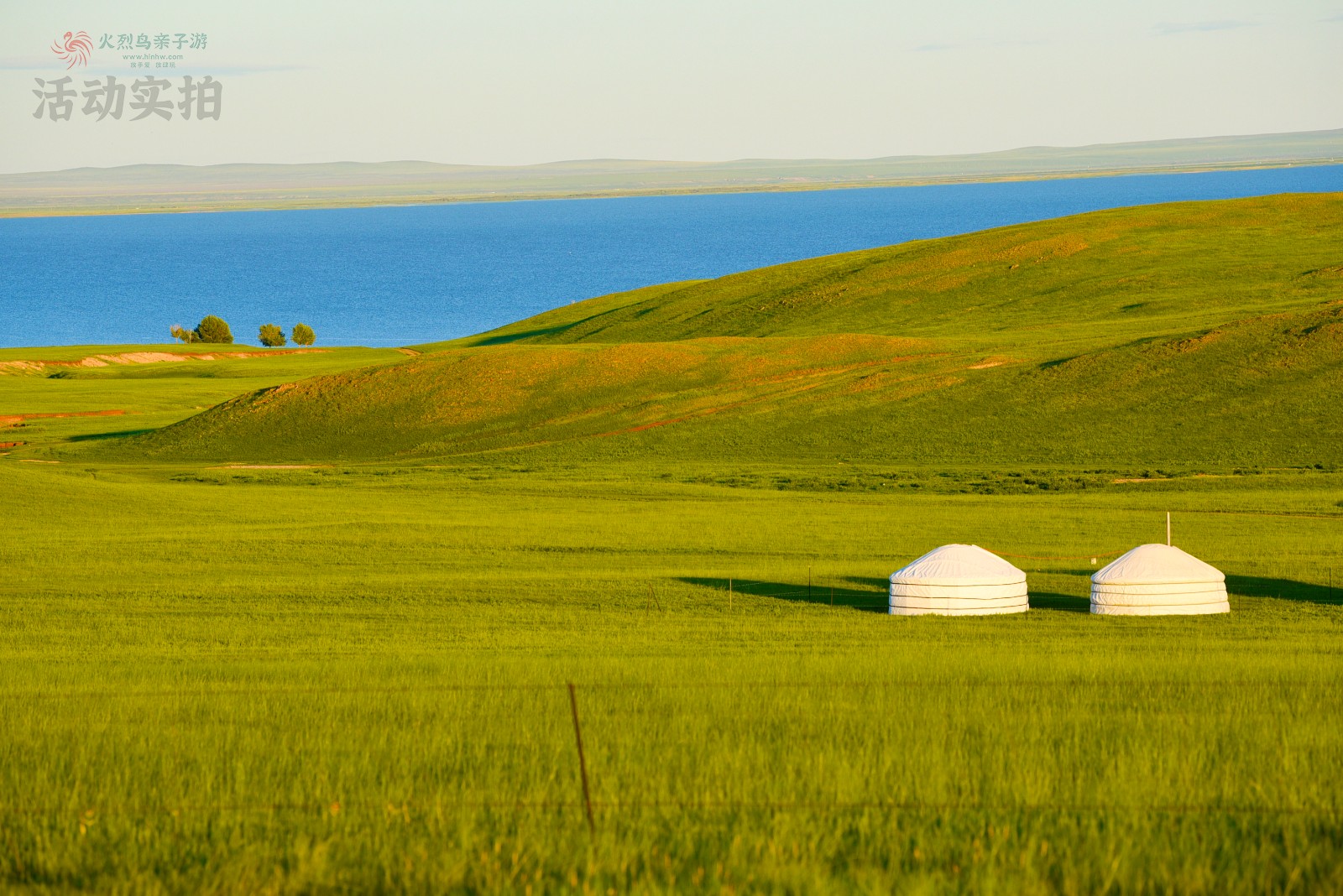 IMG_20250801_191050 拷贝.jpg