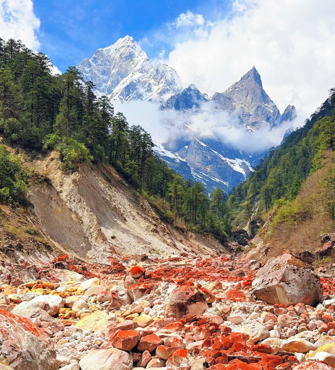 1775787531802958.jpg 7b0c7883edbddcf2b96a8a695692ccc.jpg