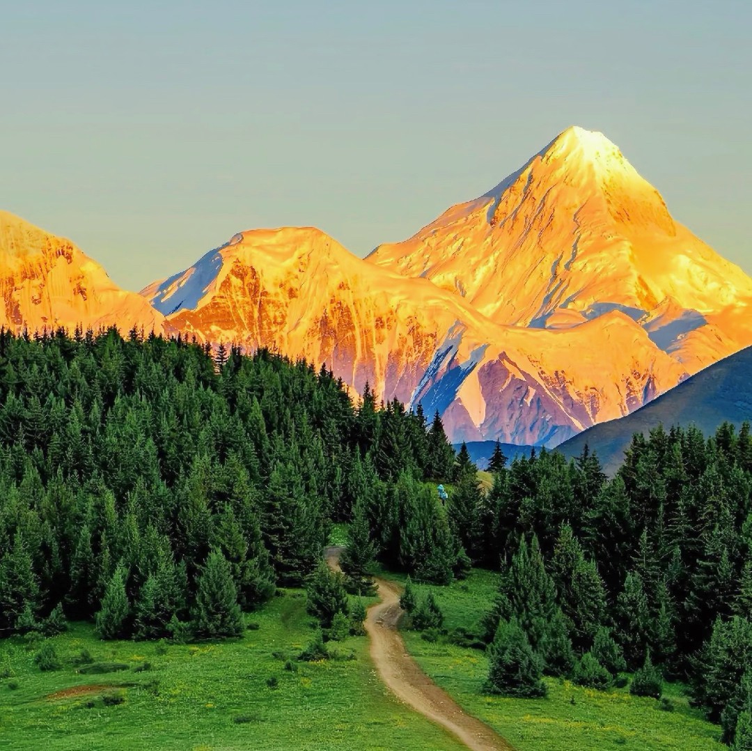 1775788232789840.jpg de03077ef3fb5ebb918d11d42b83c6f.jpg