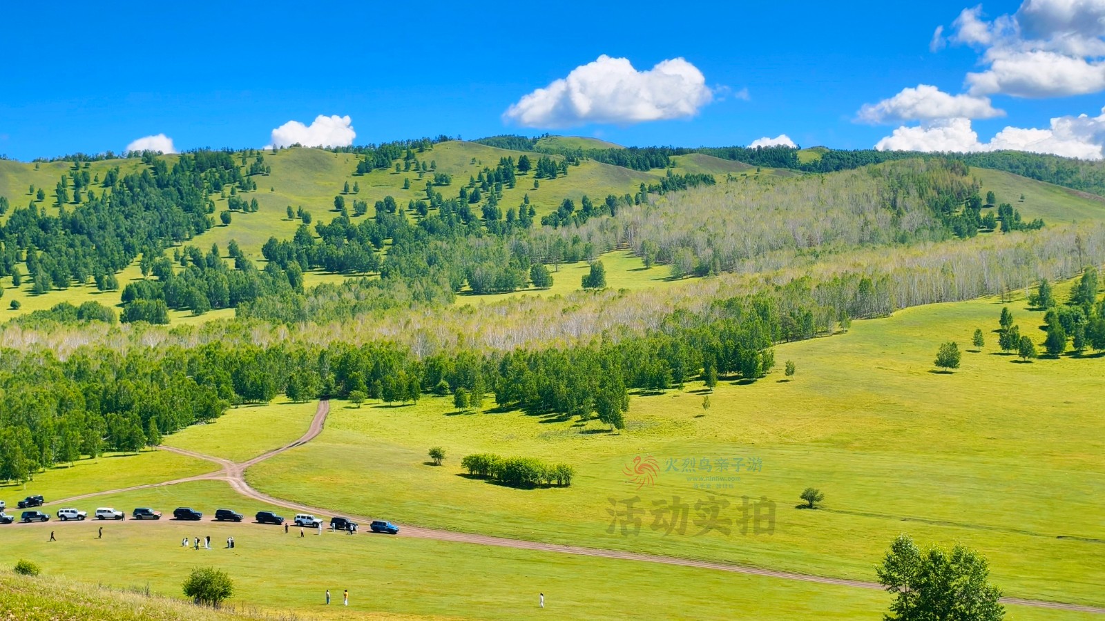 IMG_20250727_145401 拷贝.jpg