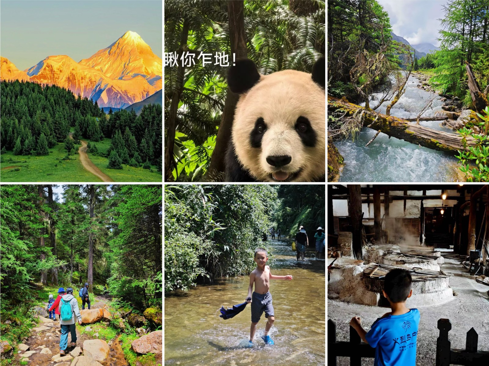 1775790892575589.jpg 72e3841387a52da0d3b22ad7cf84e0e.jpg