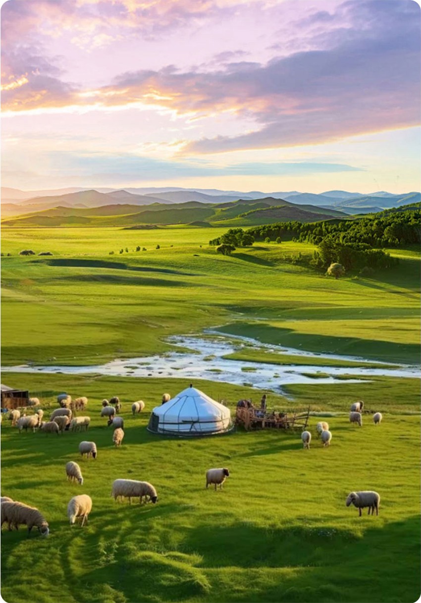 1776266230925555.jpg 345322111.jpg