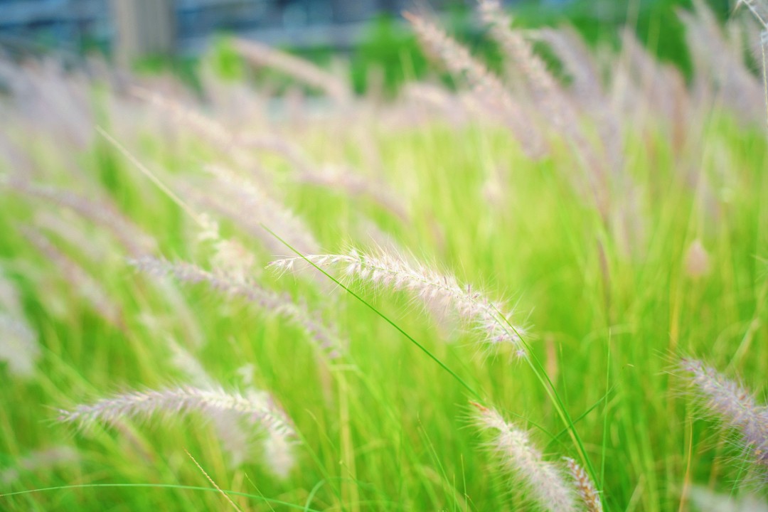 1776304869543026.jpg bcf9c2923a2c5931deaa49c8f7a8f3e.jpg