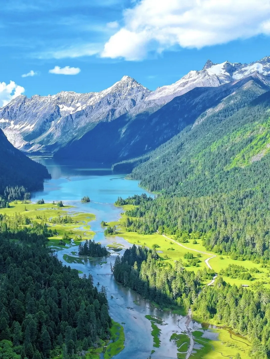 e294d3e9-9498-4fe1-b712-792d3fe9674d.png