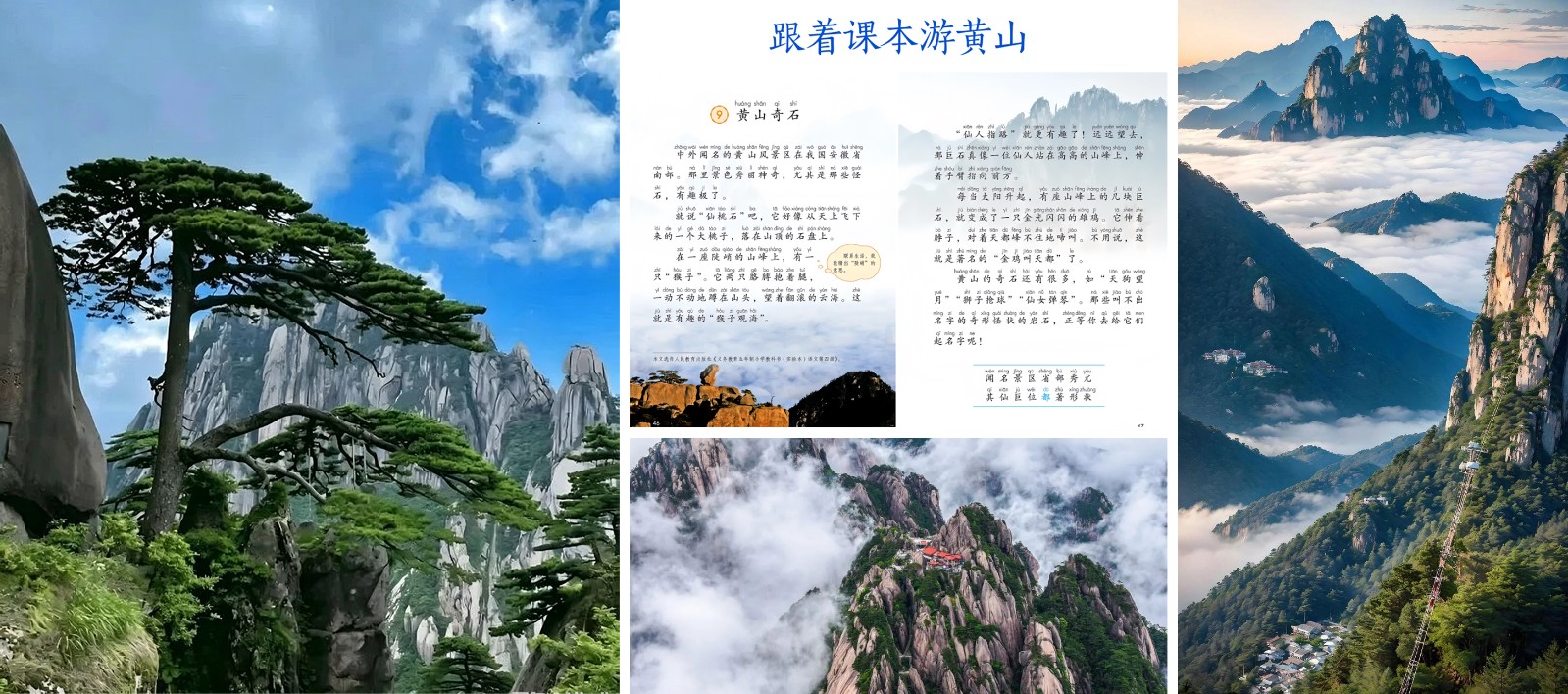 1779717905741645.jpg 第五天.jpg
