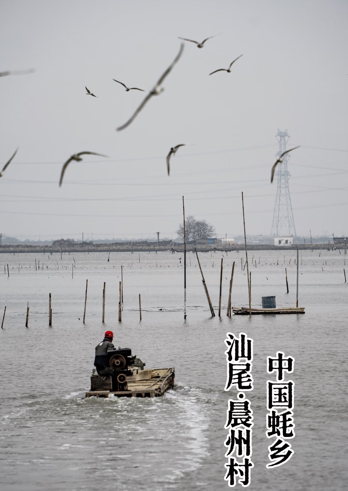 微信图片_20260817111608_865_194.jpg