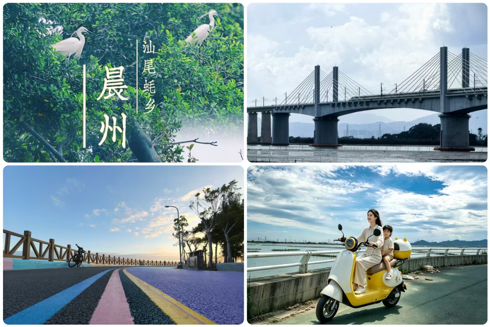 微信图片_20260817114633_868_194.jpg
