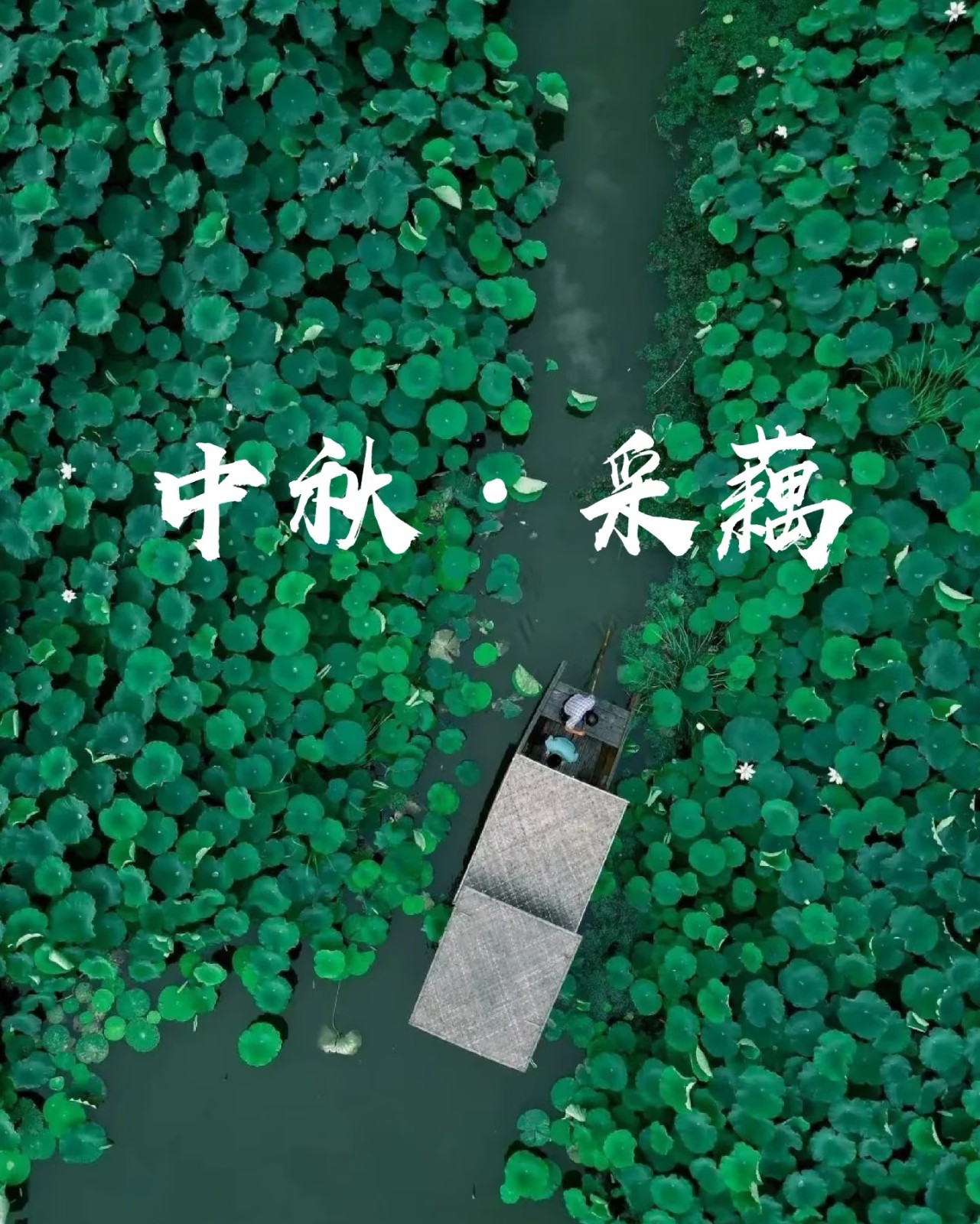 1789375533992883.jpg 微信图片_20260914164513_973_194.jpg