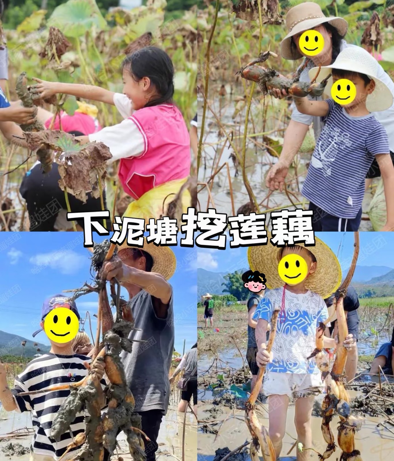 1789375623339815.jpg 微信图片_20260914164644_974_194.jpg