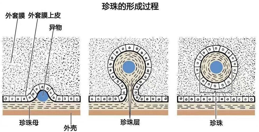 1791356173187490.png 645.png
