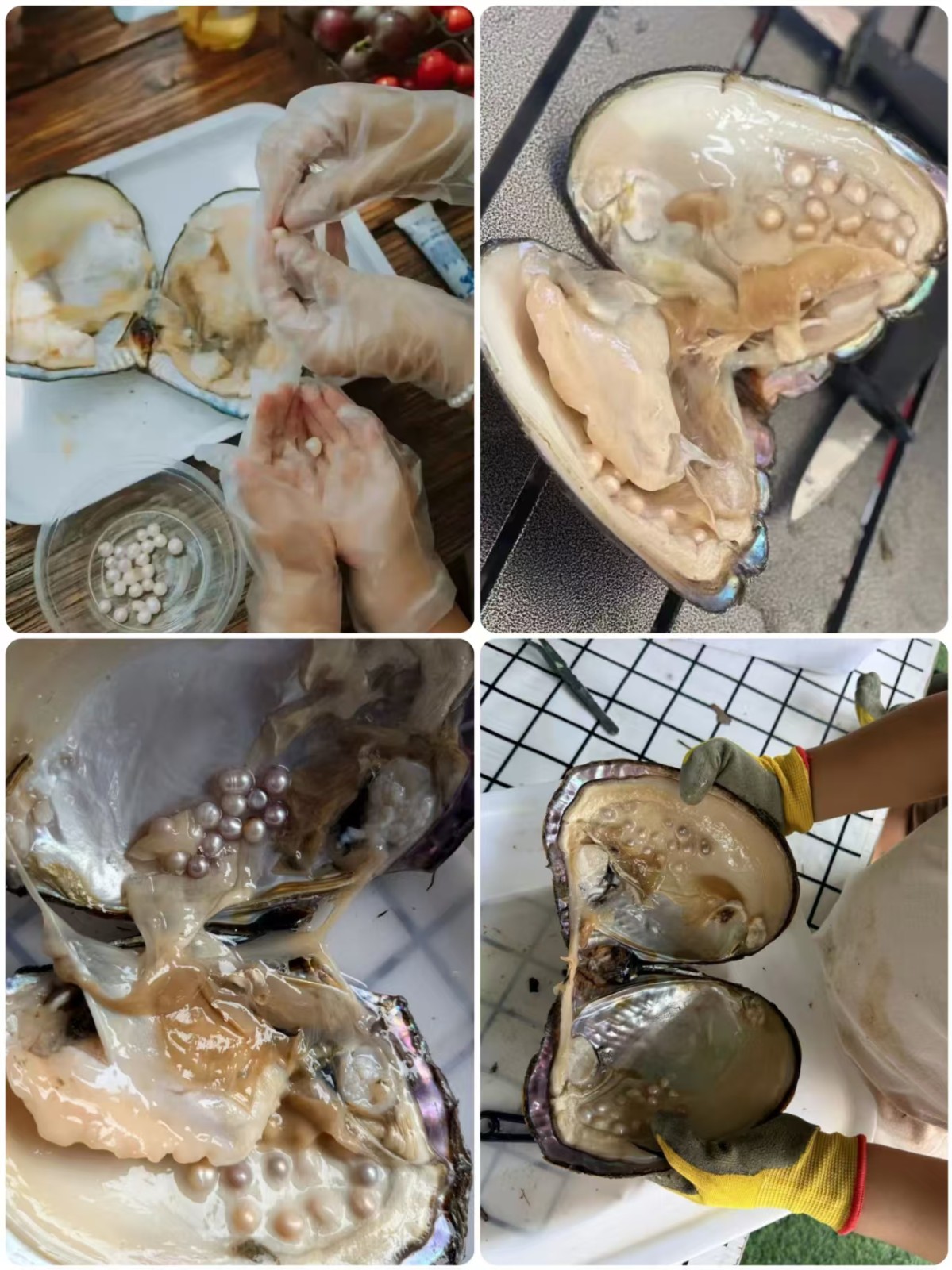 1791356781783075.jpg 微信图片_20261007150559_43_197.jpg