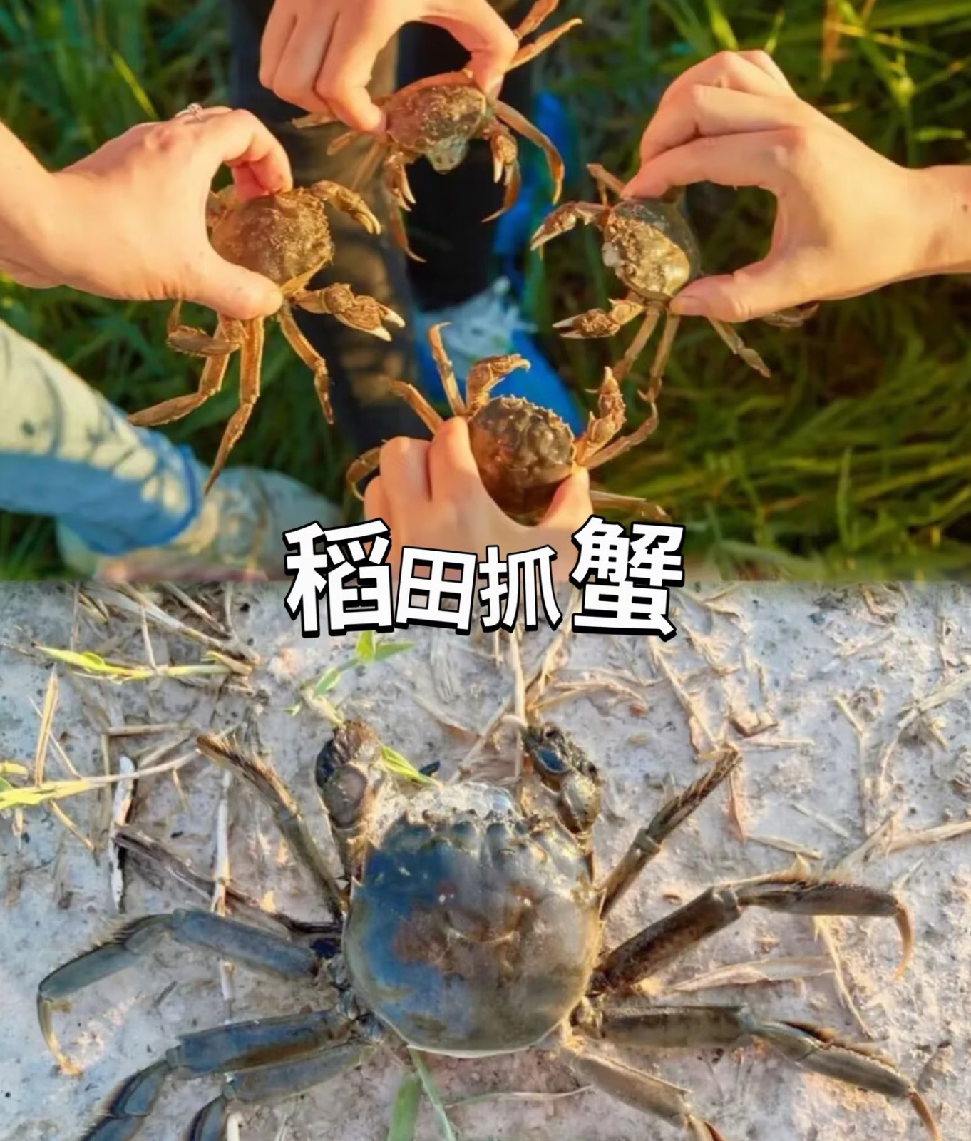 1791390842153846.jpg 微信图片_20261008003336_1072_194.jpg