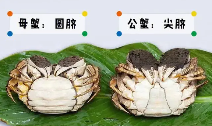 1791391530220922.png 3.png