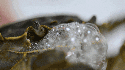 1791391581633273.gif