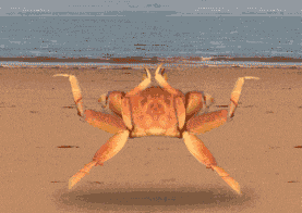 1791391582847623.gif
