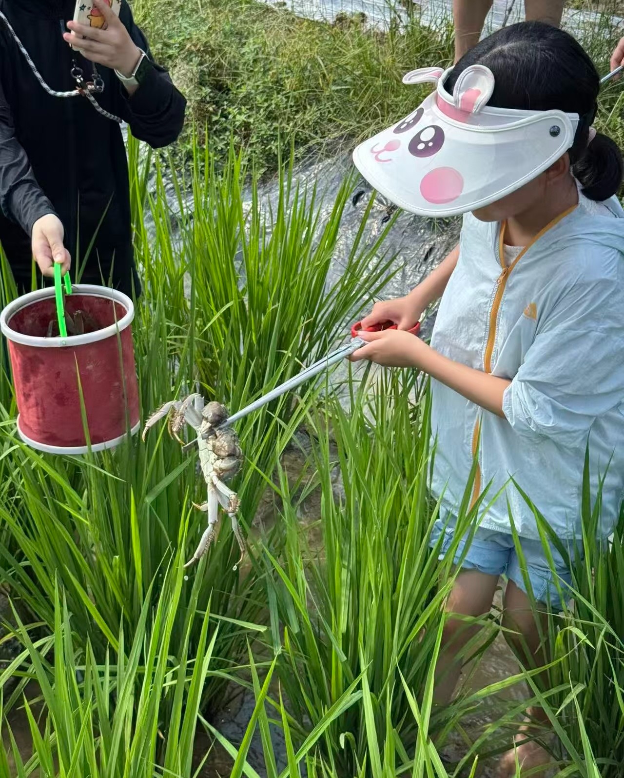 1791391817820650.jpg 微信图片_20261008004944_1073_194.jpg