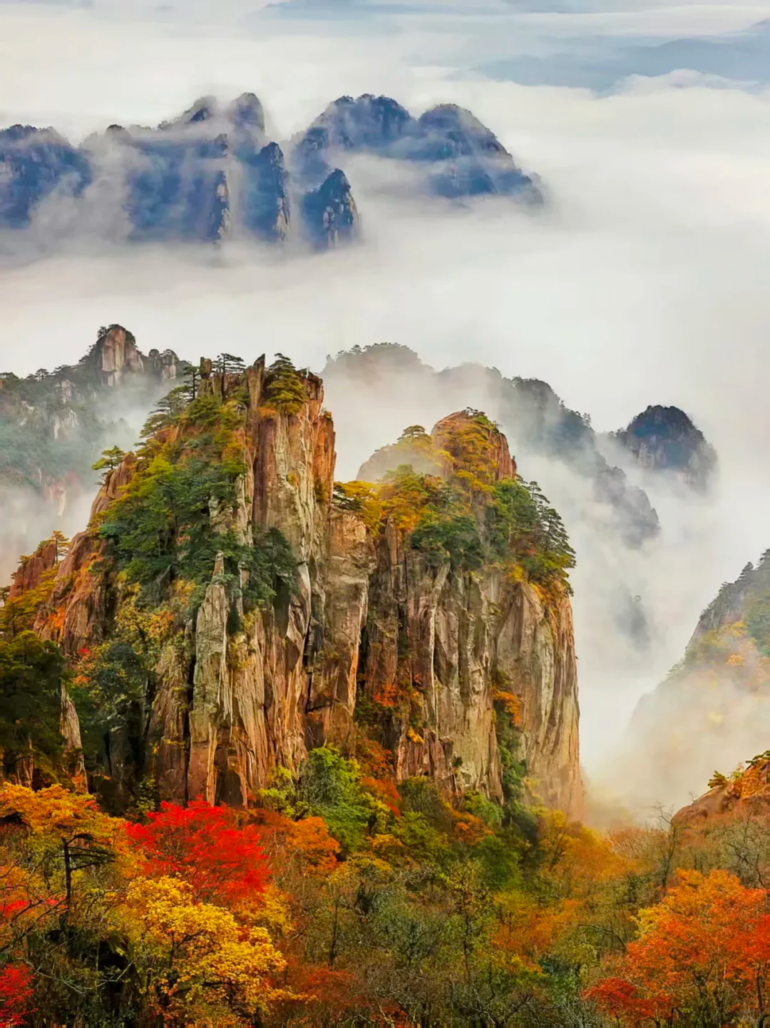 1791947044116158.png 微信图片_20261014103929.png