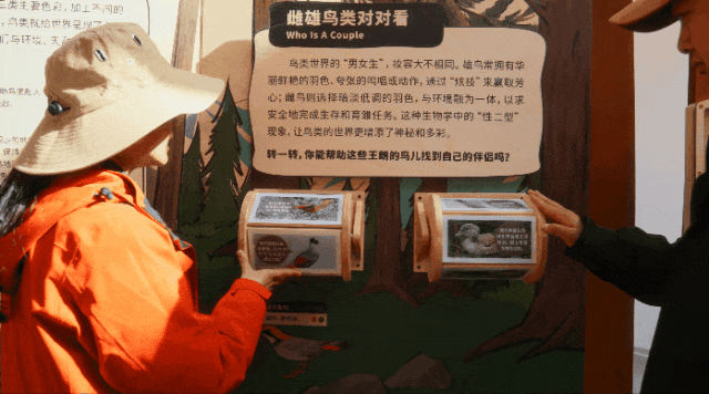 1792045964420469.gif 1792045964420469.gif