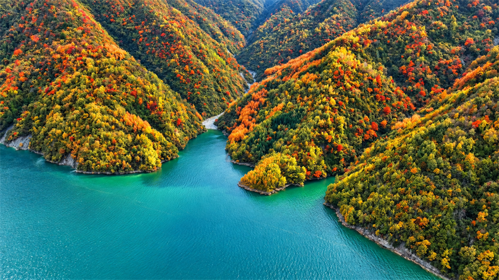 1792048651596666.png 微信图片_2026-10-15_151635_176.png