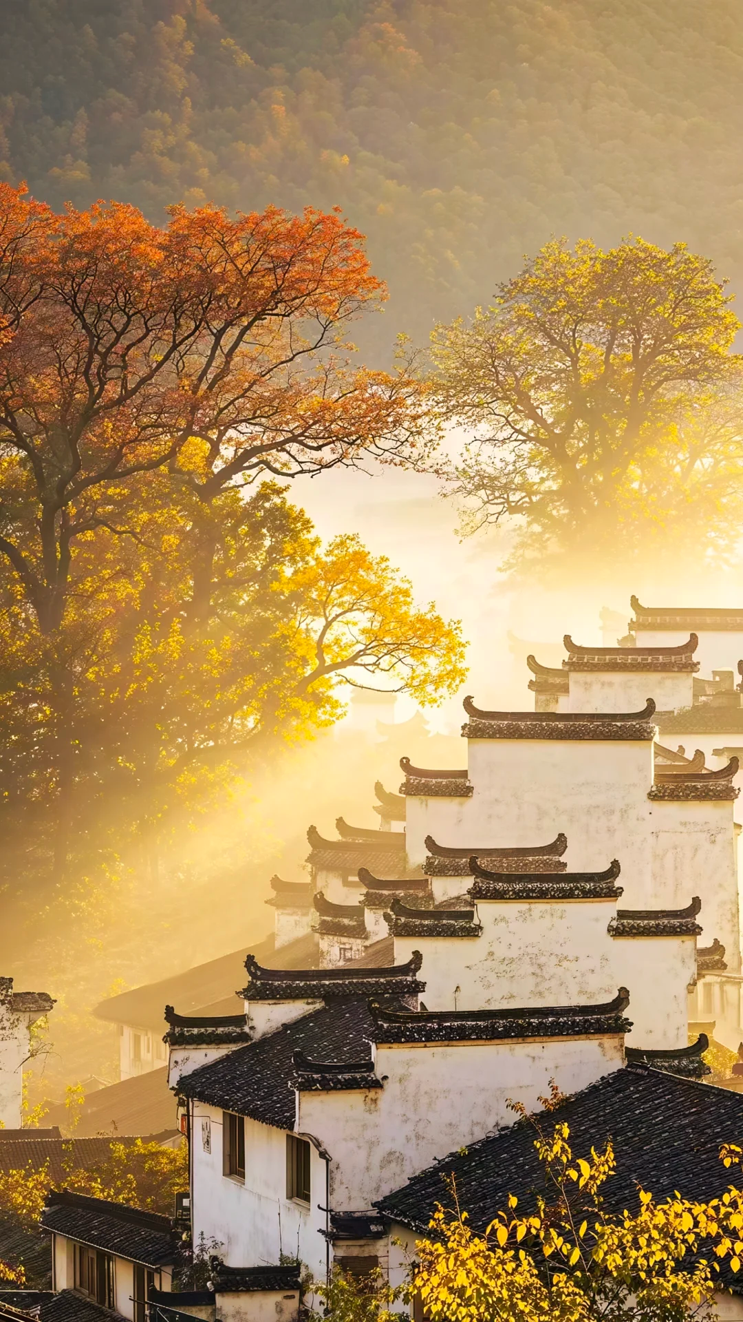 1792049848161090.png 微信图片_20261014104403.png