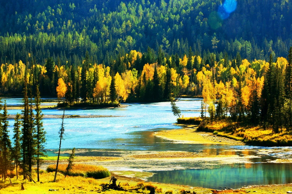 1792049852370830.png