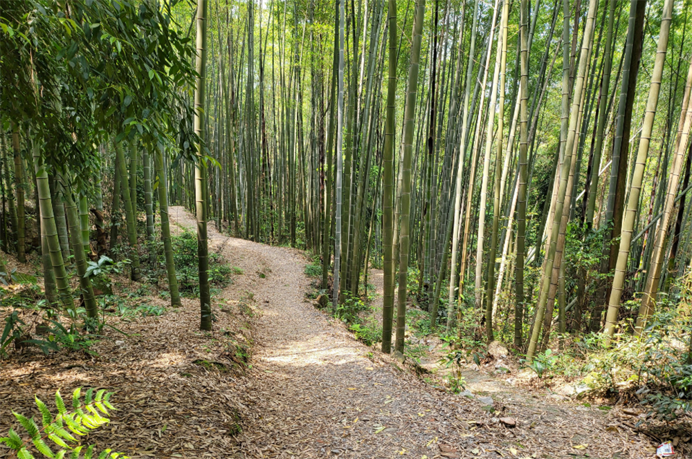 1793241215962623.png 微信图片_2026-10-29_103044_716.png